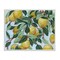 Stupell Industries Summer Citrus Tree Framed Giclee, design by June Erica Vess